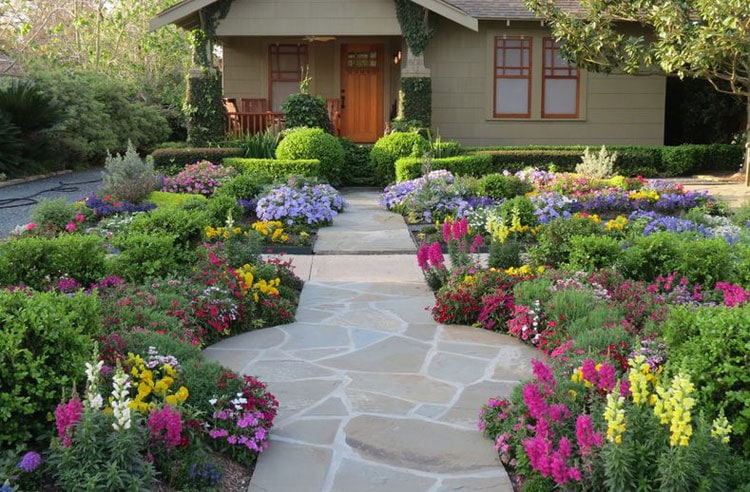 A guide to landscaping flowers in front of the house