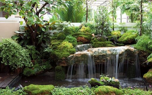 Advice on arranging a natural garden